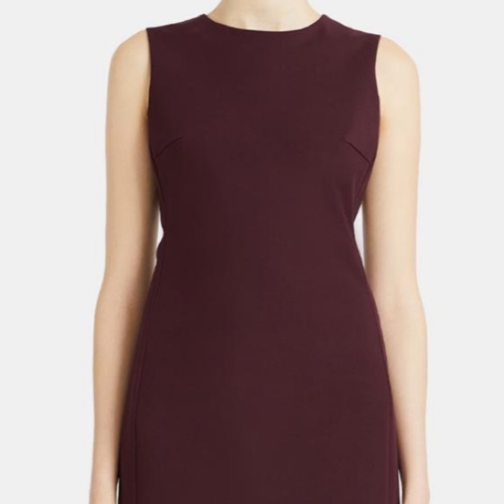Theory Maroon Dress